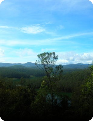 Nilgiri Hills